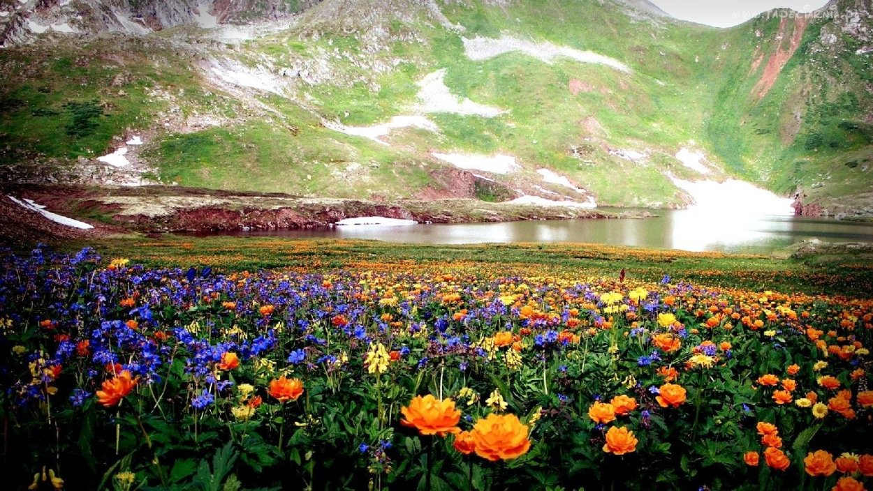 Поляна Жарков в Ергаках