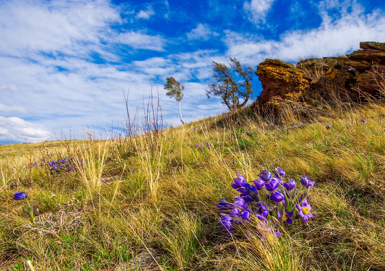 Крапивенский заказник Тульская область