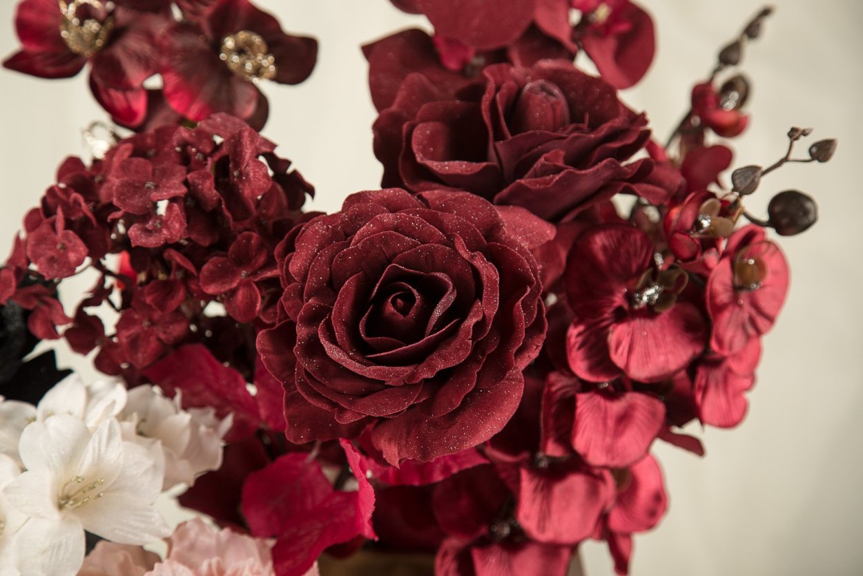 Бургундия цветок