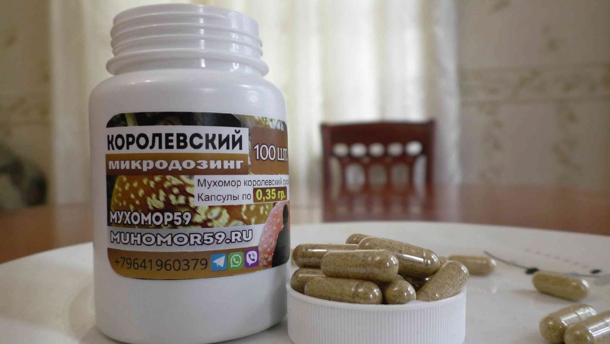 Настоящие мухоморы