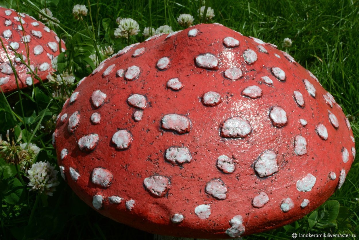 Ядовитые грибы мухомор