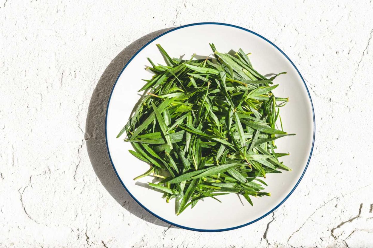 Листья тархуна