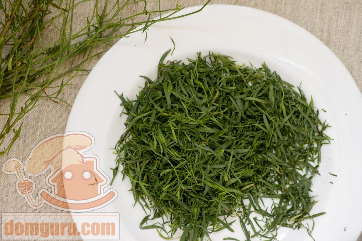 Тархун куст розмарин