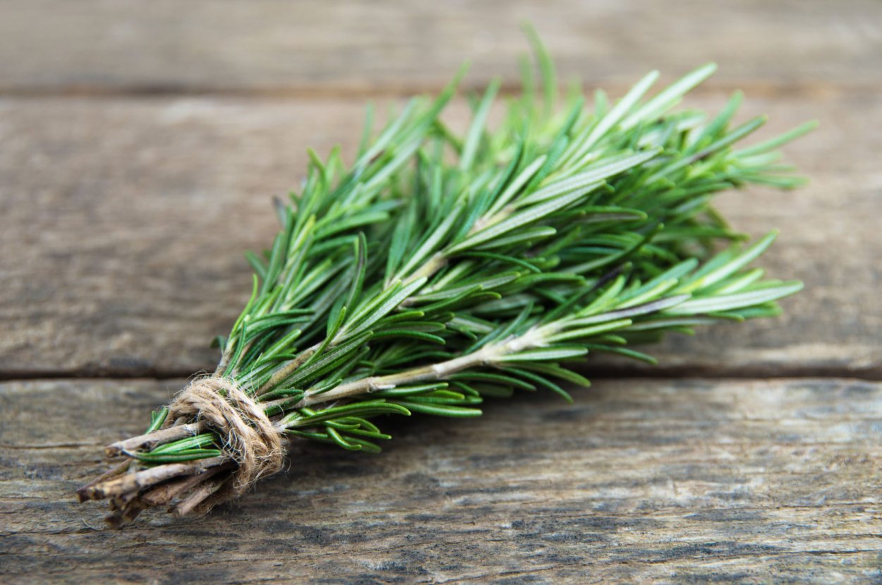 Эстрагон Тархун розмарин