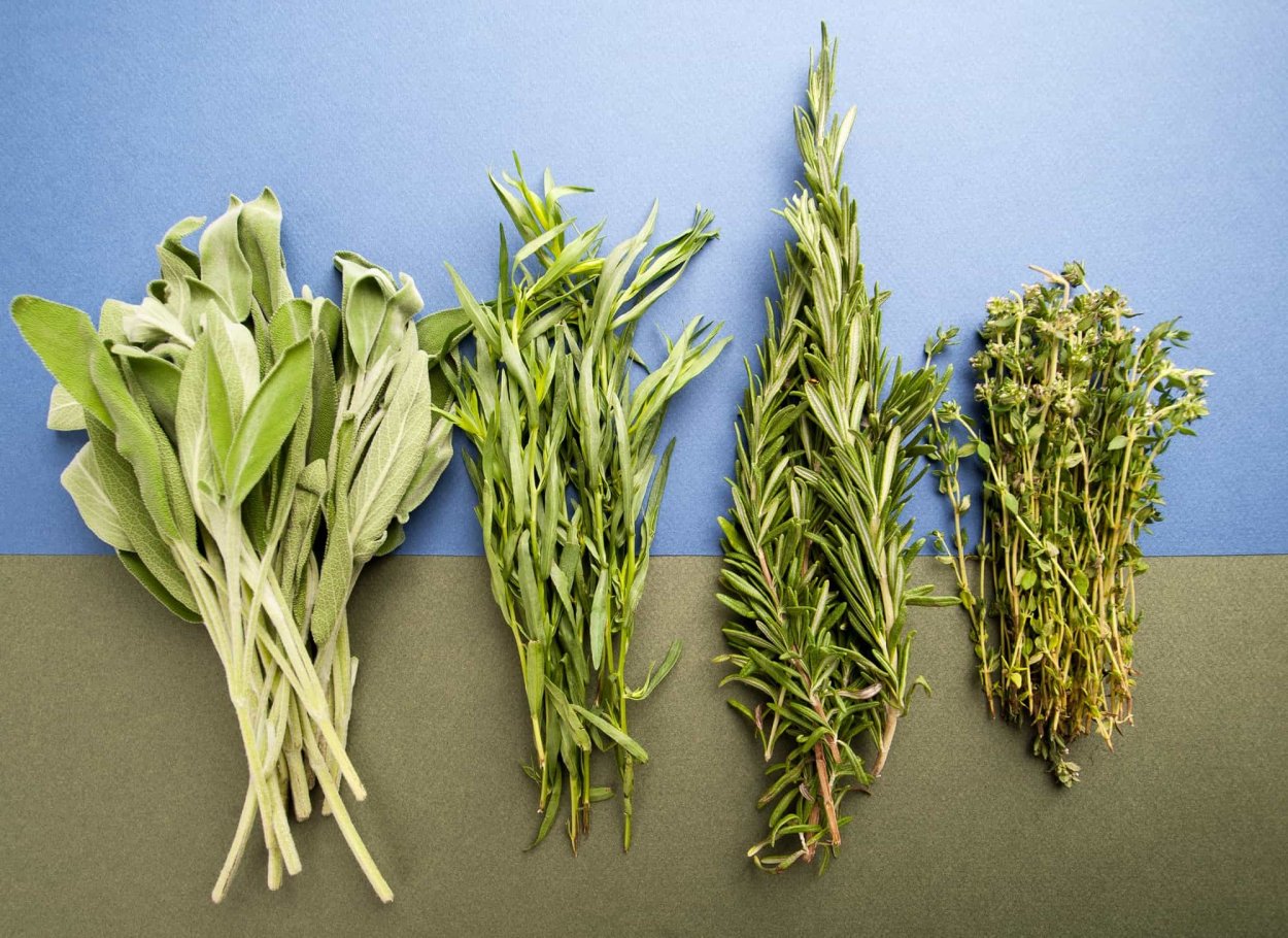 Мандарин-розмарин на белом фоне