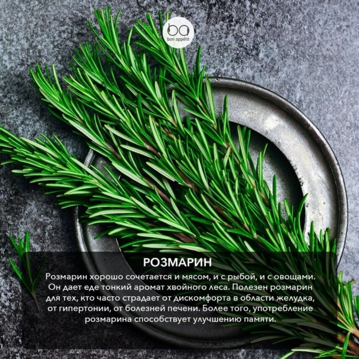 Тархун на белом фоне