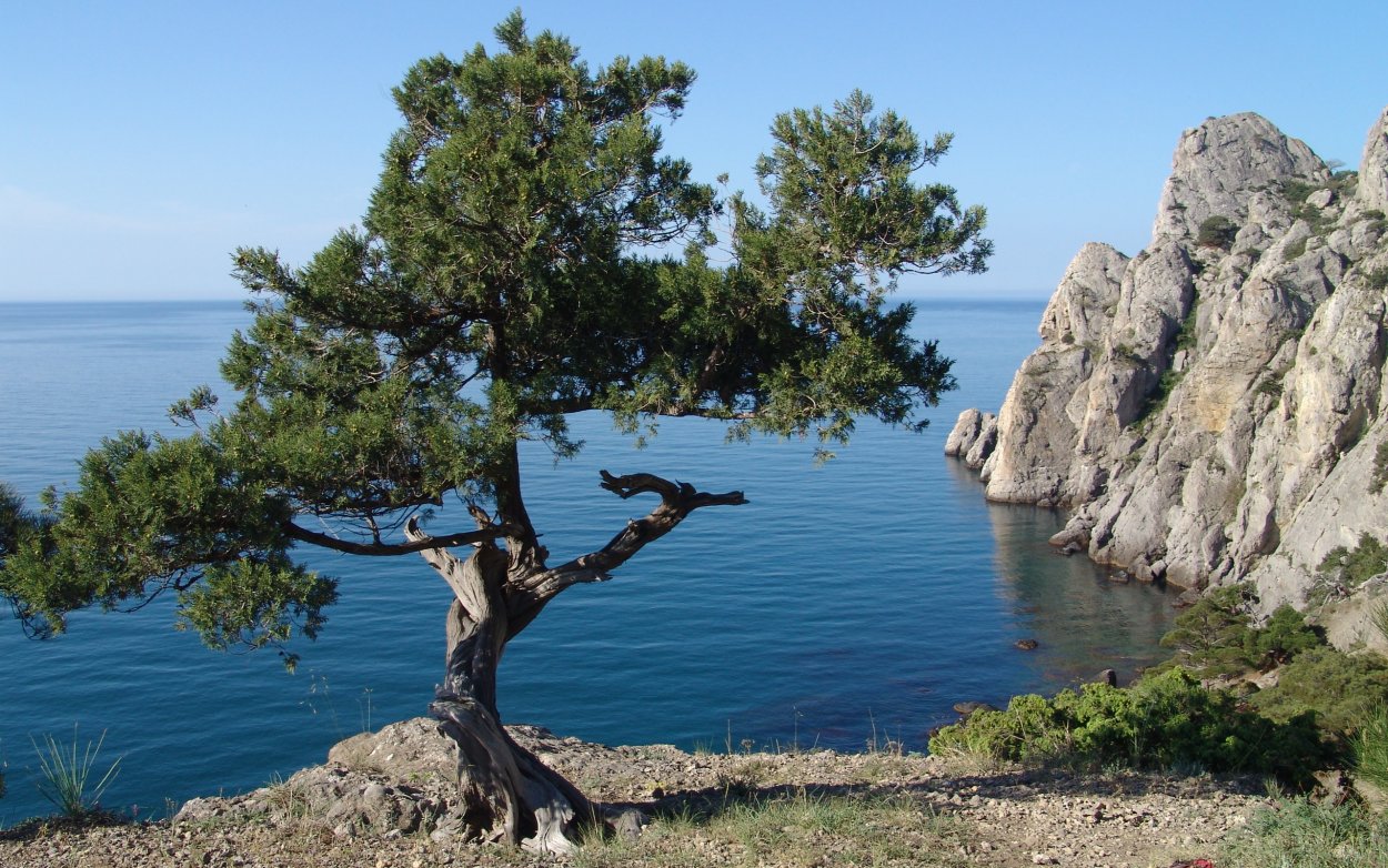 Зеленый мыс Байкал