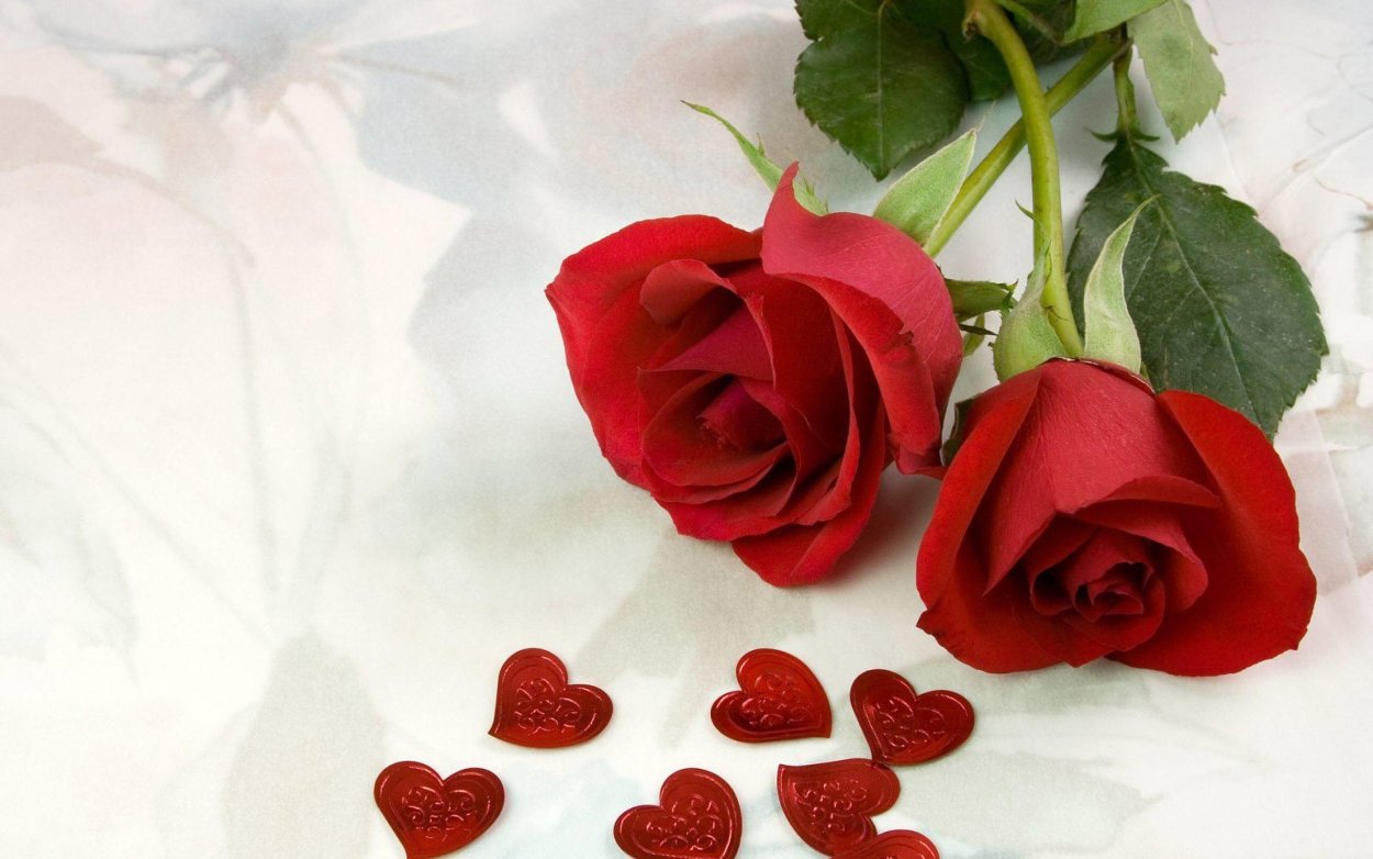 Гвоздики хромакей