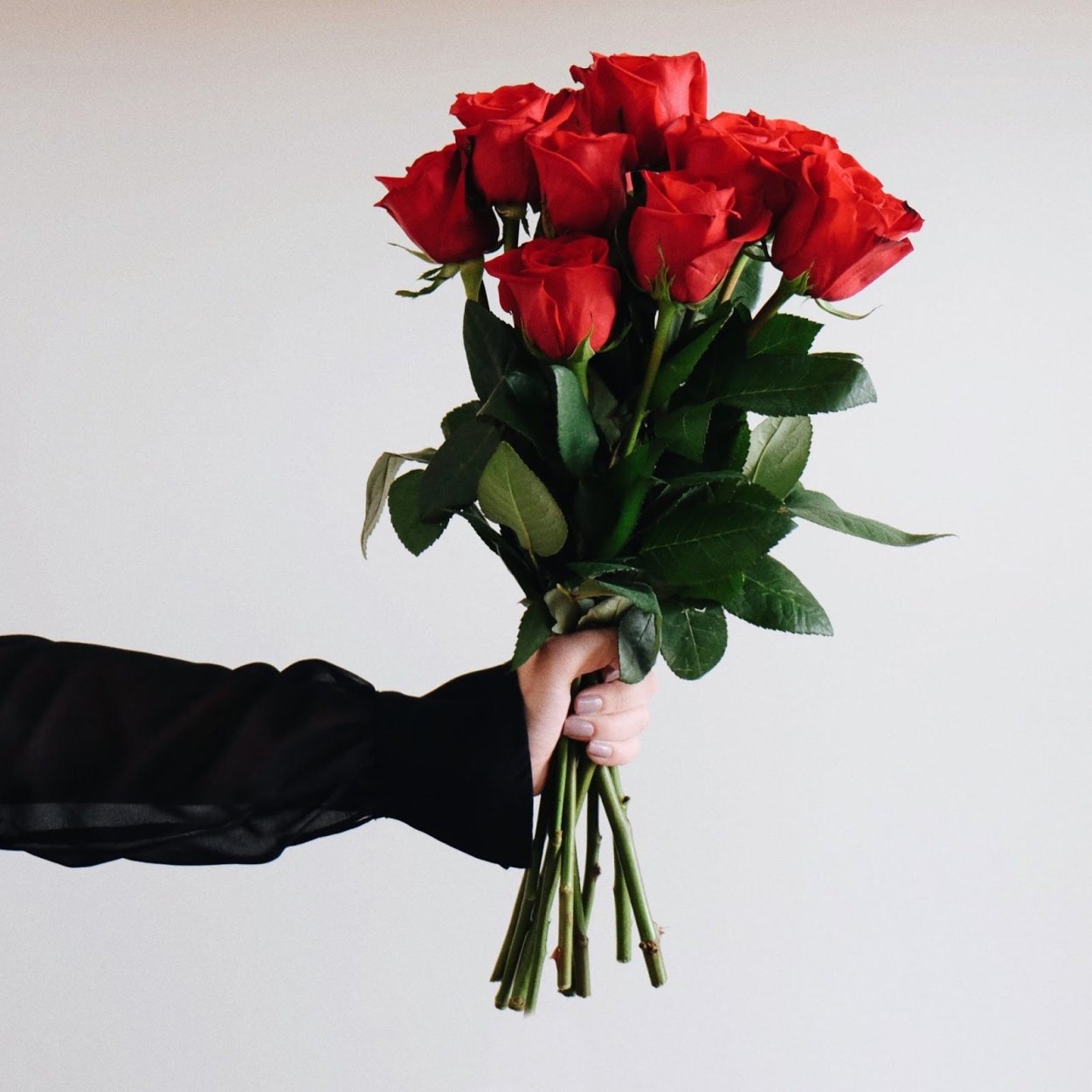 Парень дарит девушке цветы