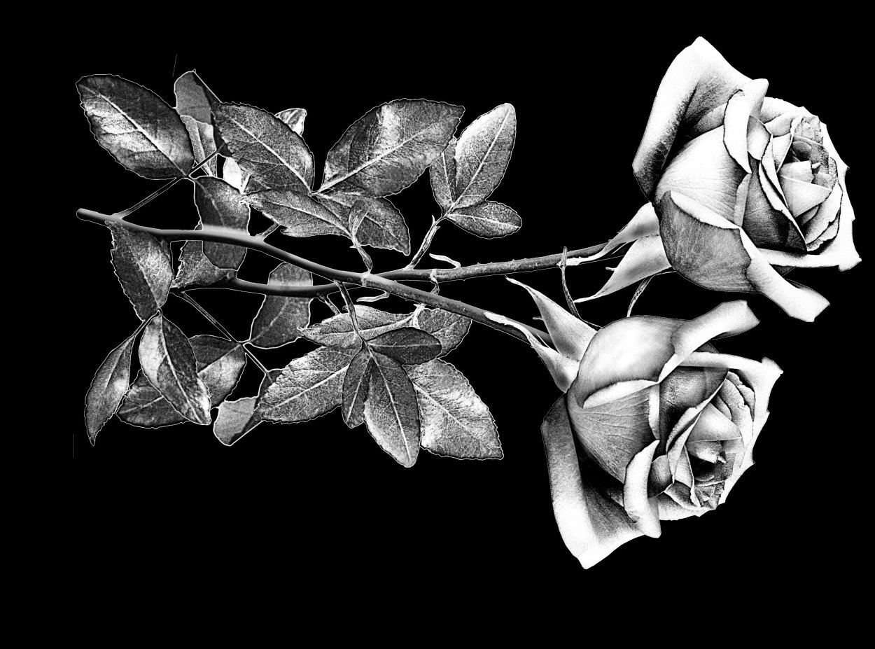 Цифра 44 красивая