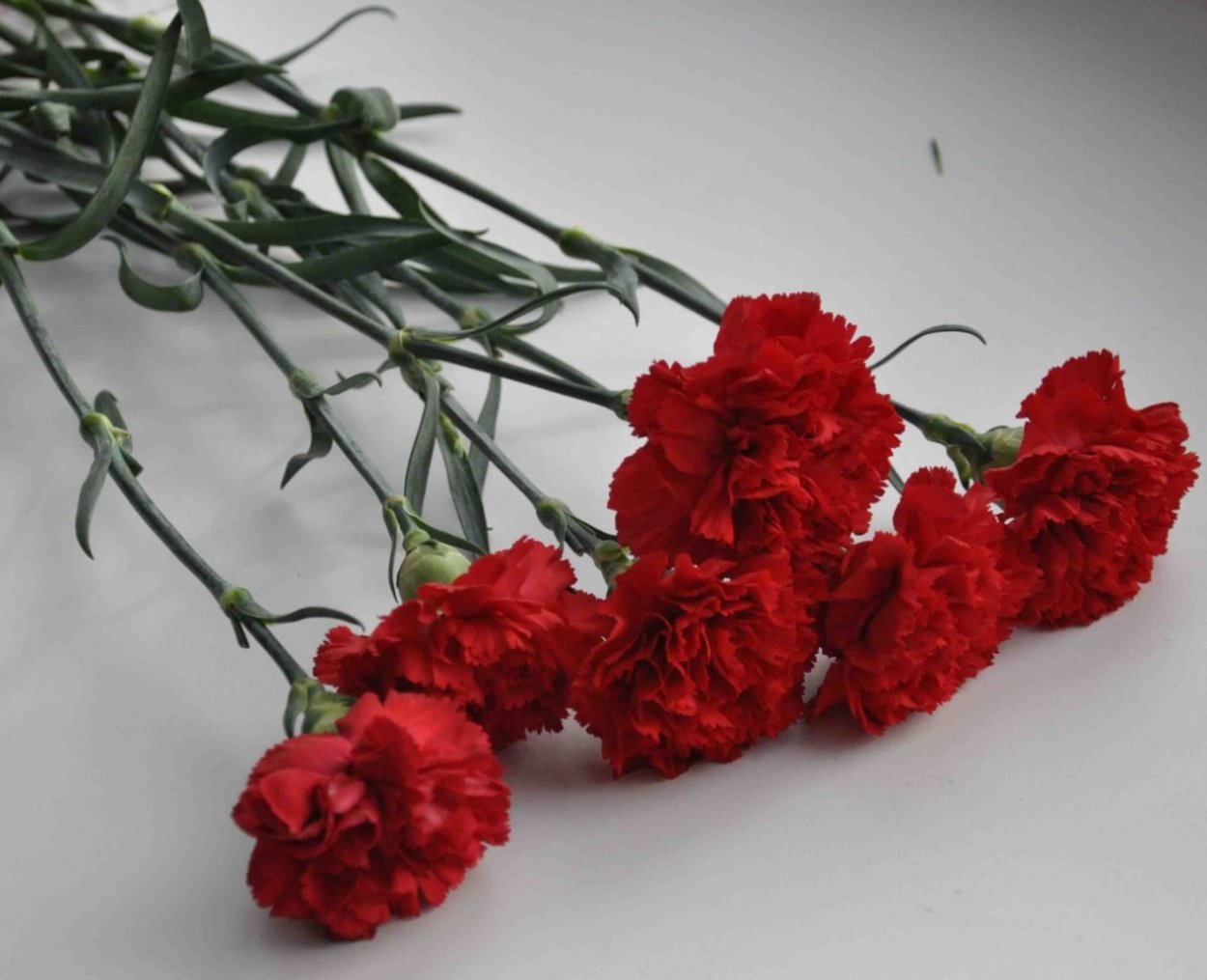 Цветы букет