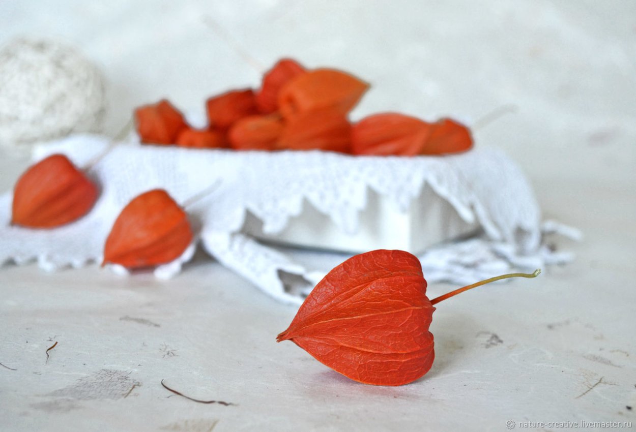 Оранжевый фонарик в Сухом букете