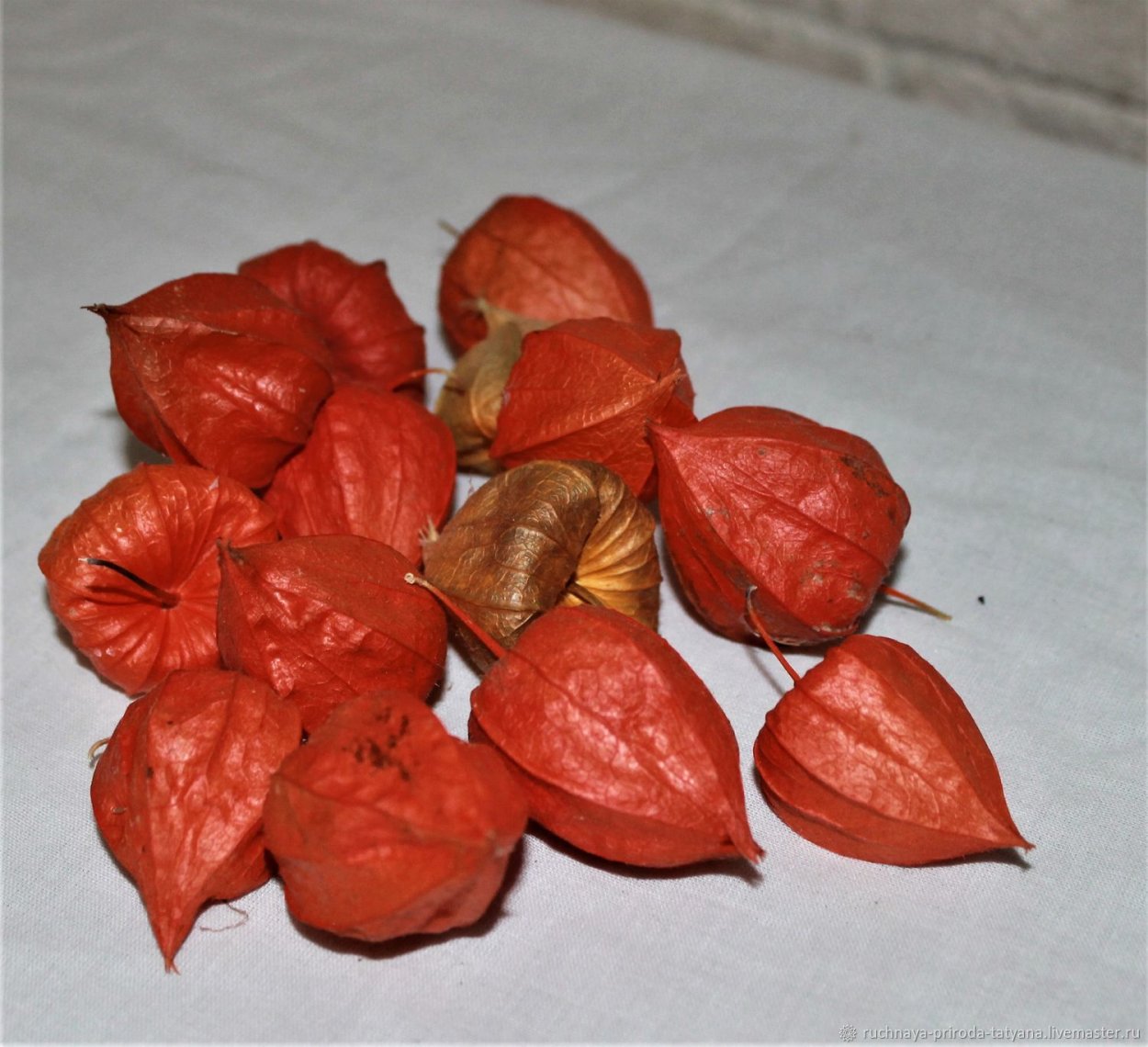 Сухоцвет физалиса сушеные