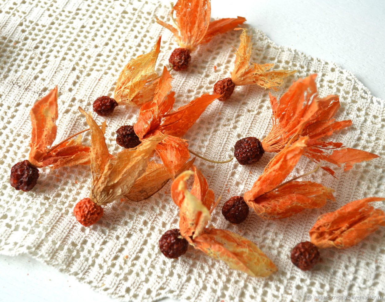 Ветка физалиса