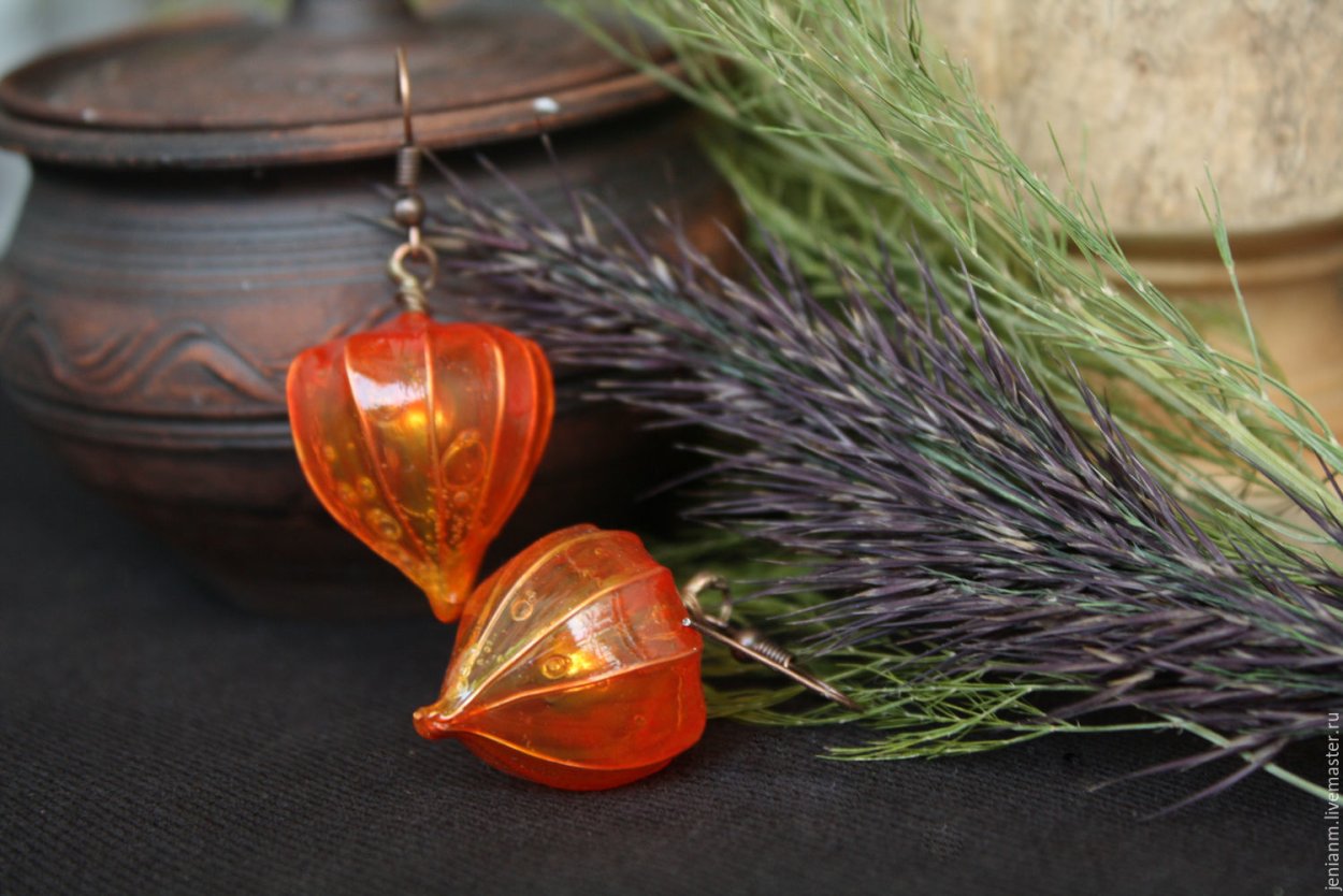 Оранжевый физалис Эстетика