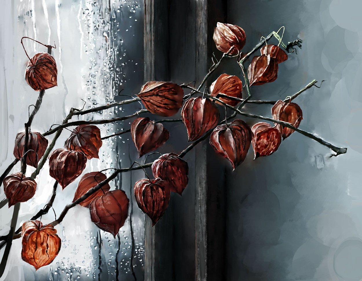 Физалис соцветие