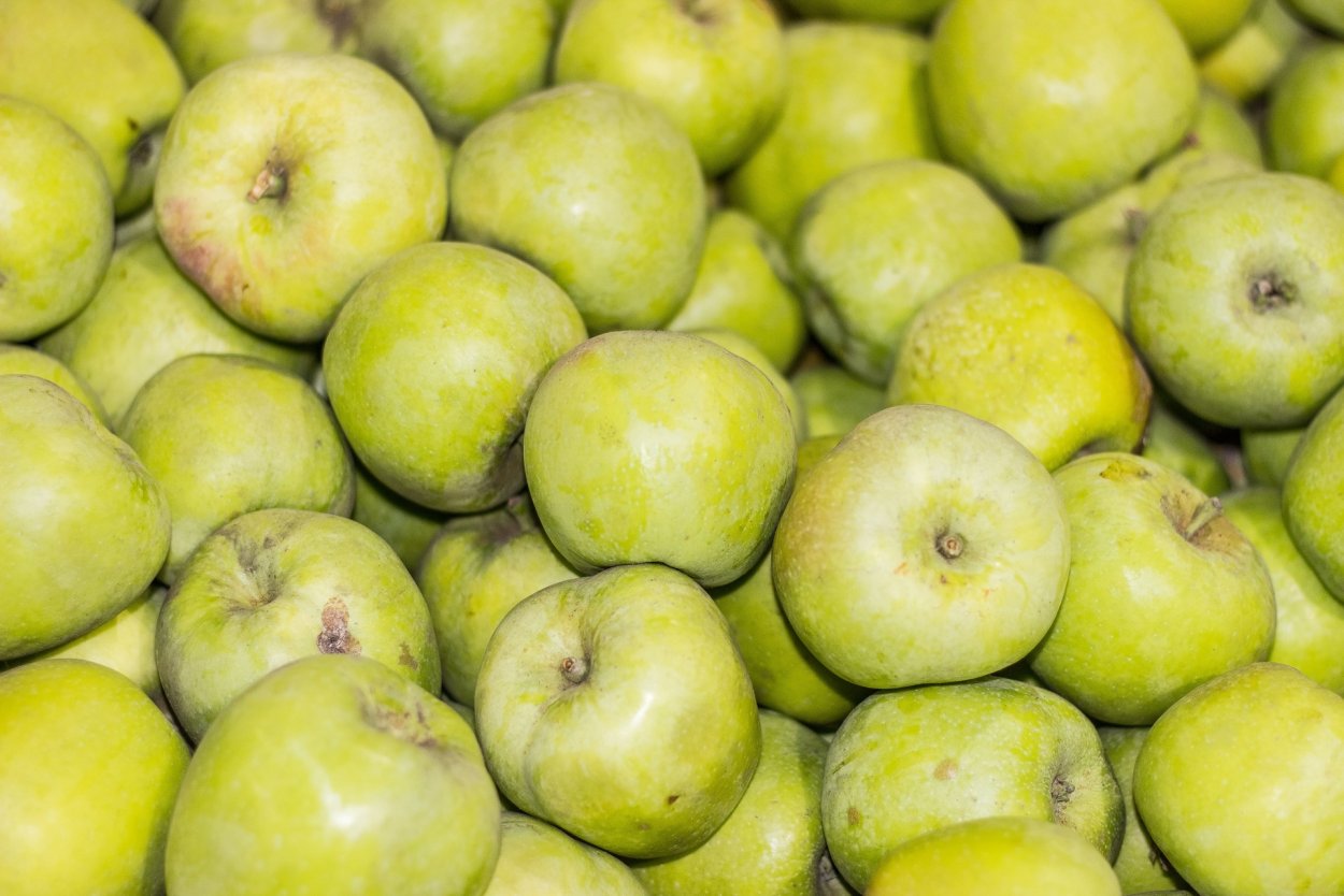 Яблоки на ветке