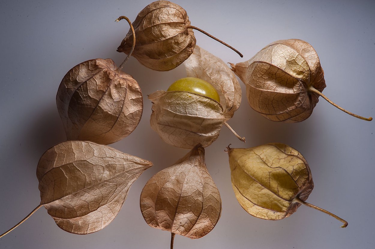 Физалис ягода сушеная