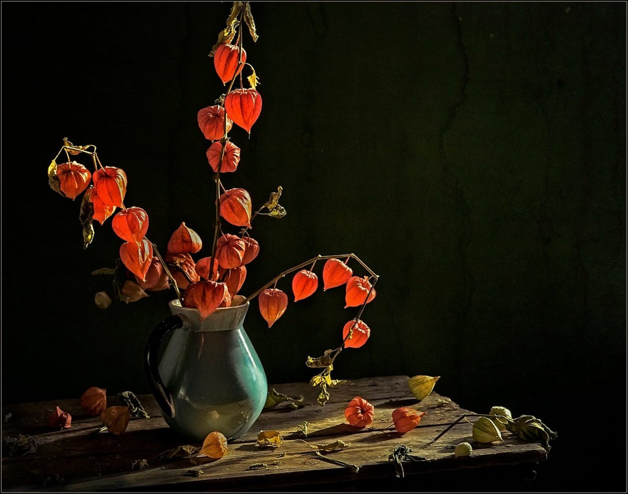 Физалис вяленый