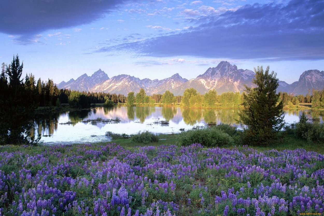 Весенняя природа