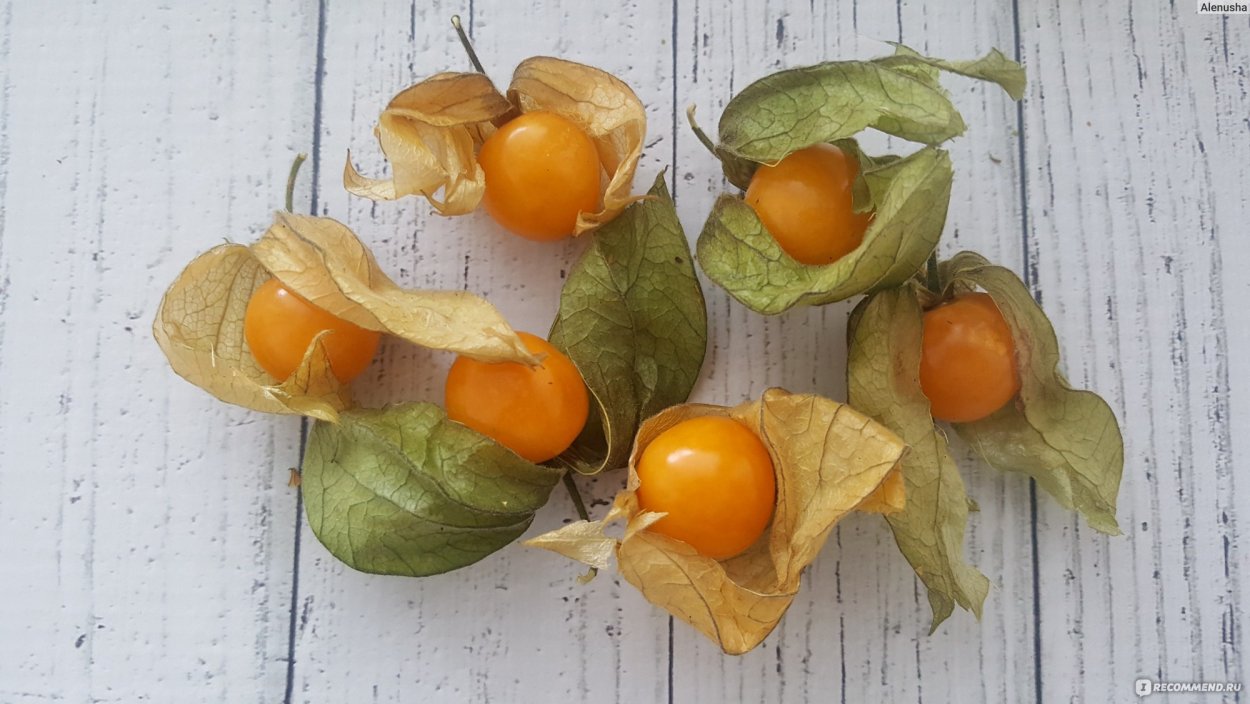 Морошка Садовая