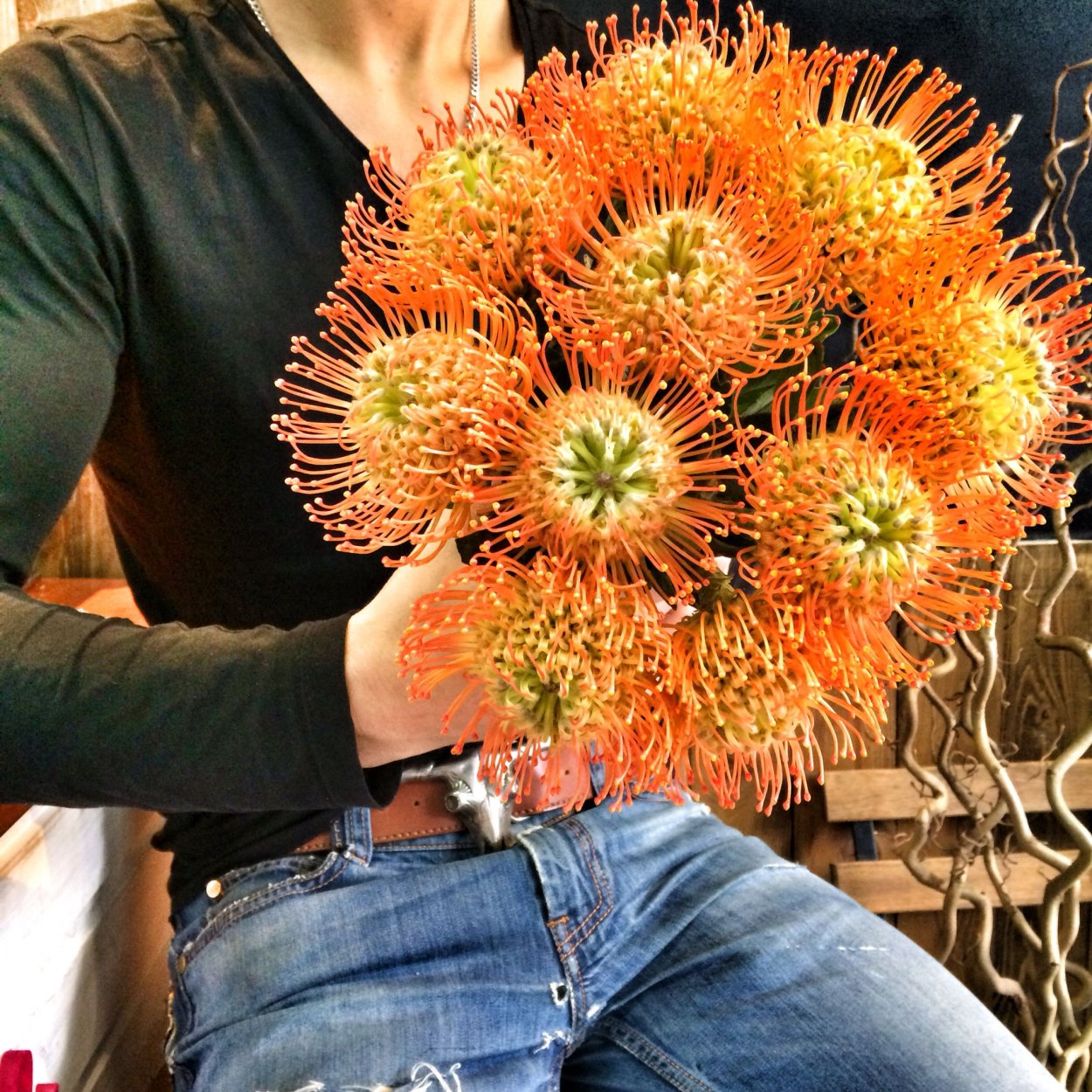 Нутан цветок