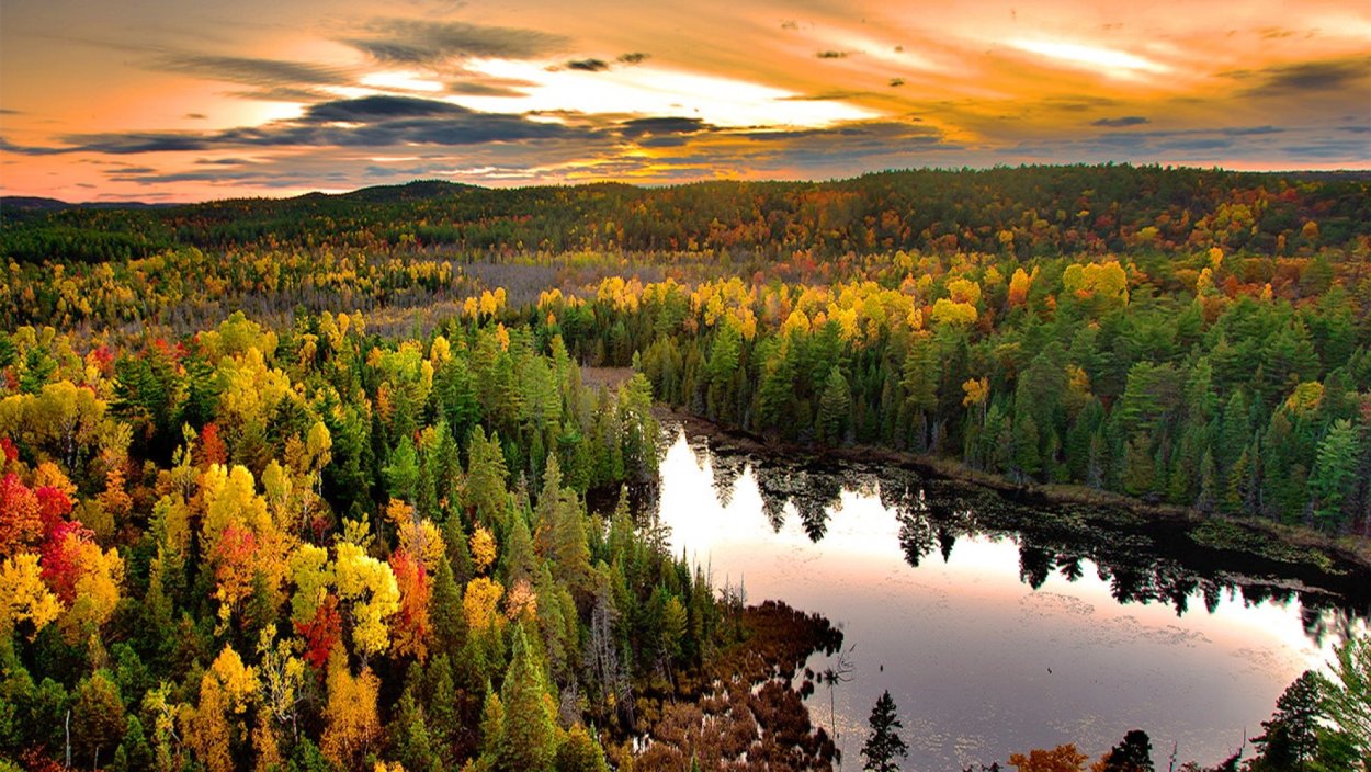 Таежные просторы Западной Сибири
