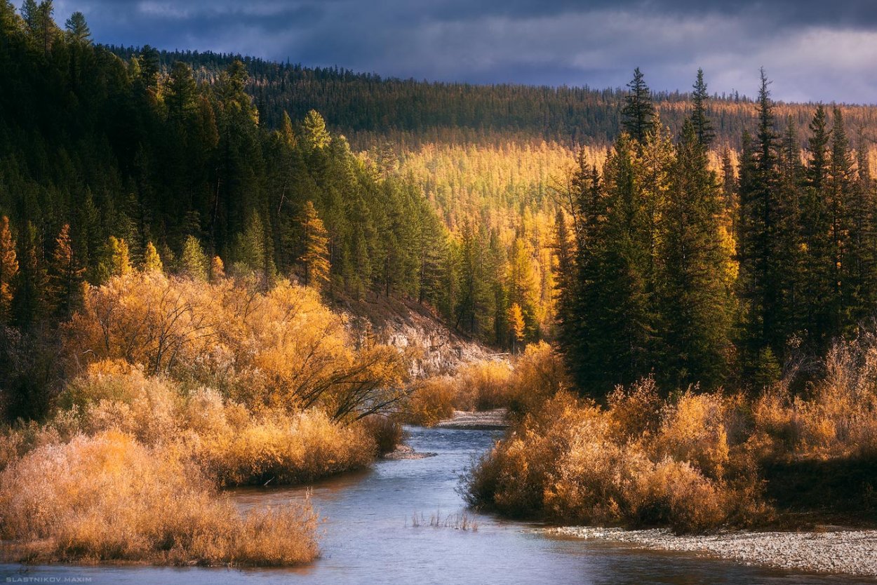 Тайга Якутии