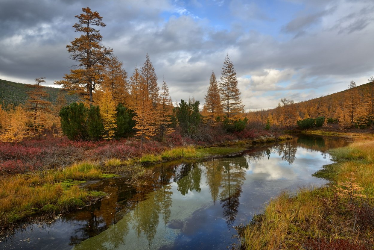Река Тихая Турханваара