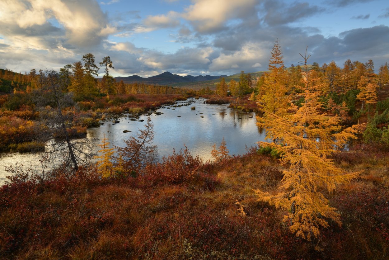 Осень озеро лиственницы