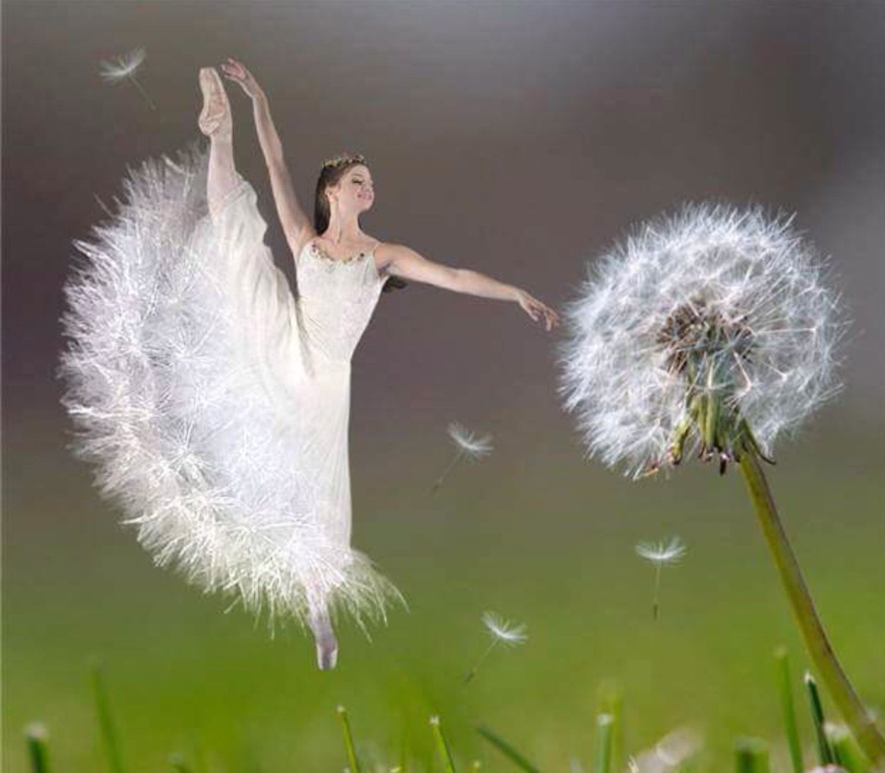 Одуванчик в голубом небе арт