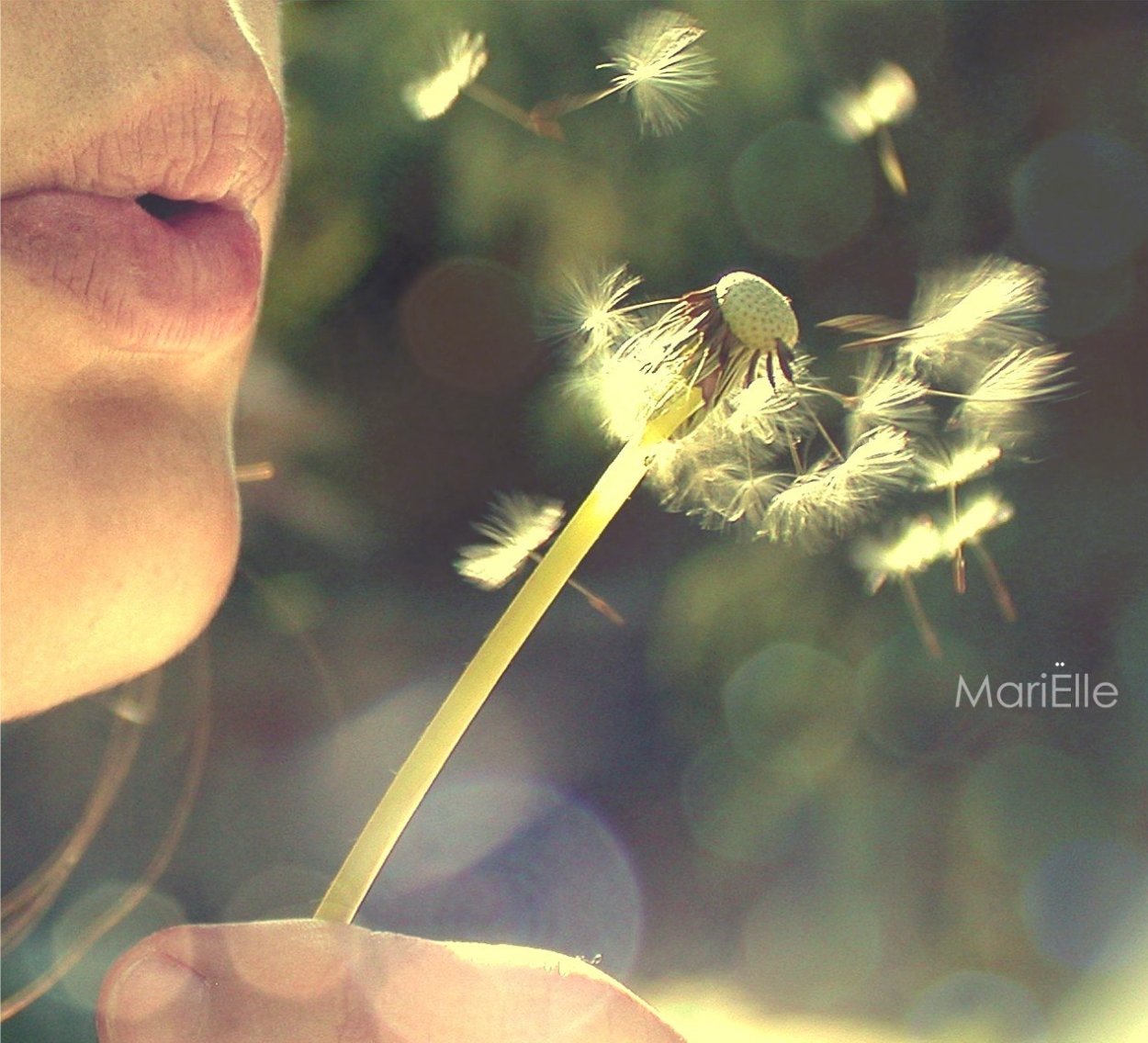 Балерина в цветах