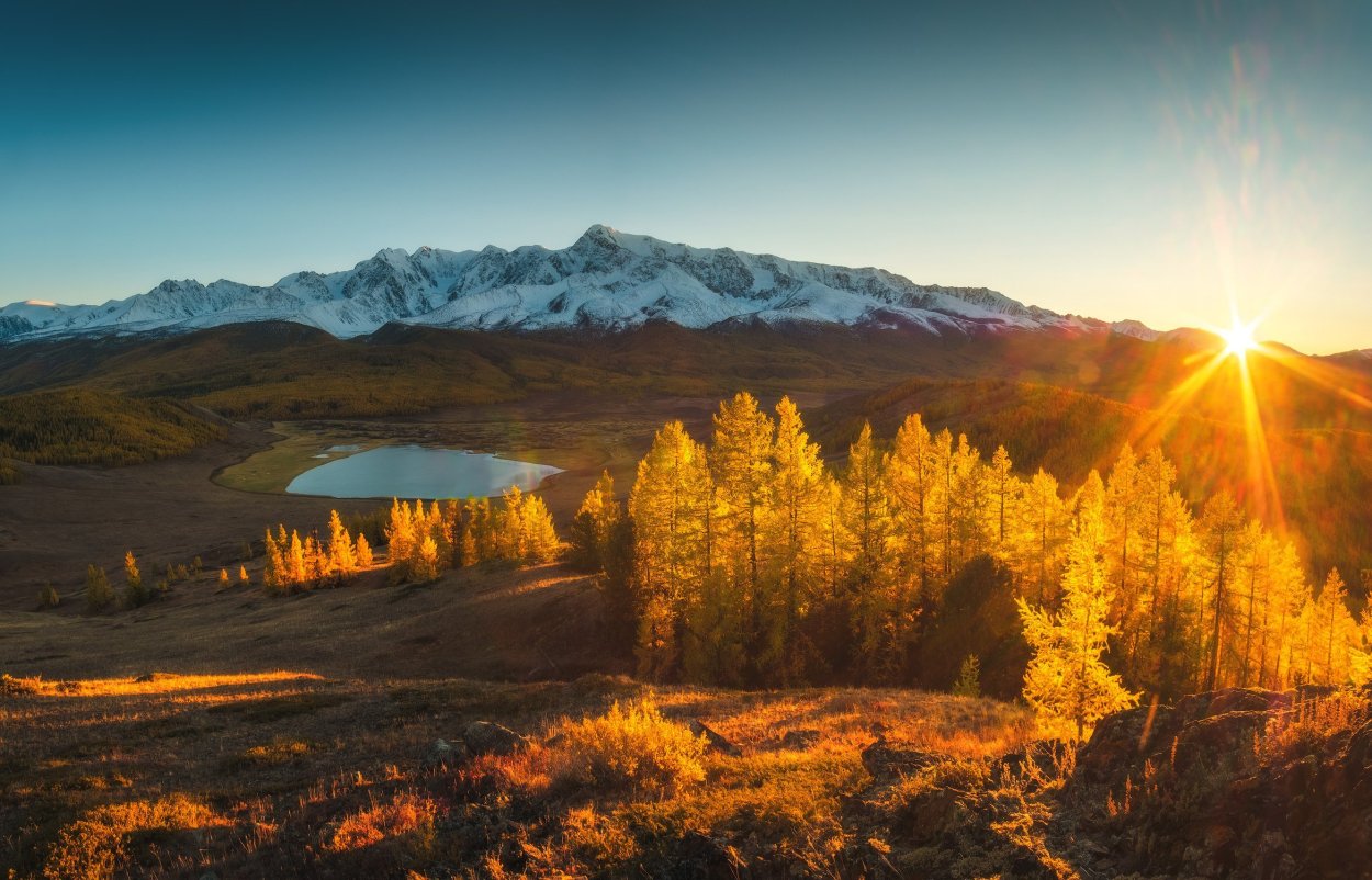 Лес горы осень панорама