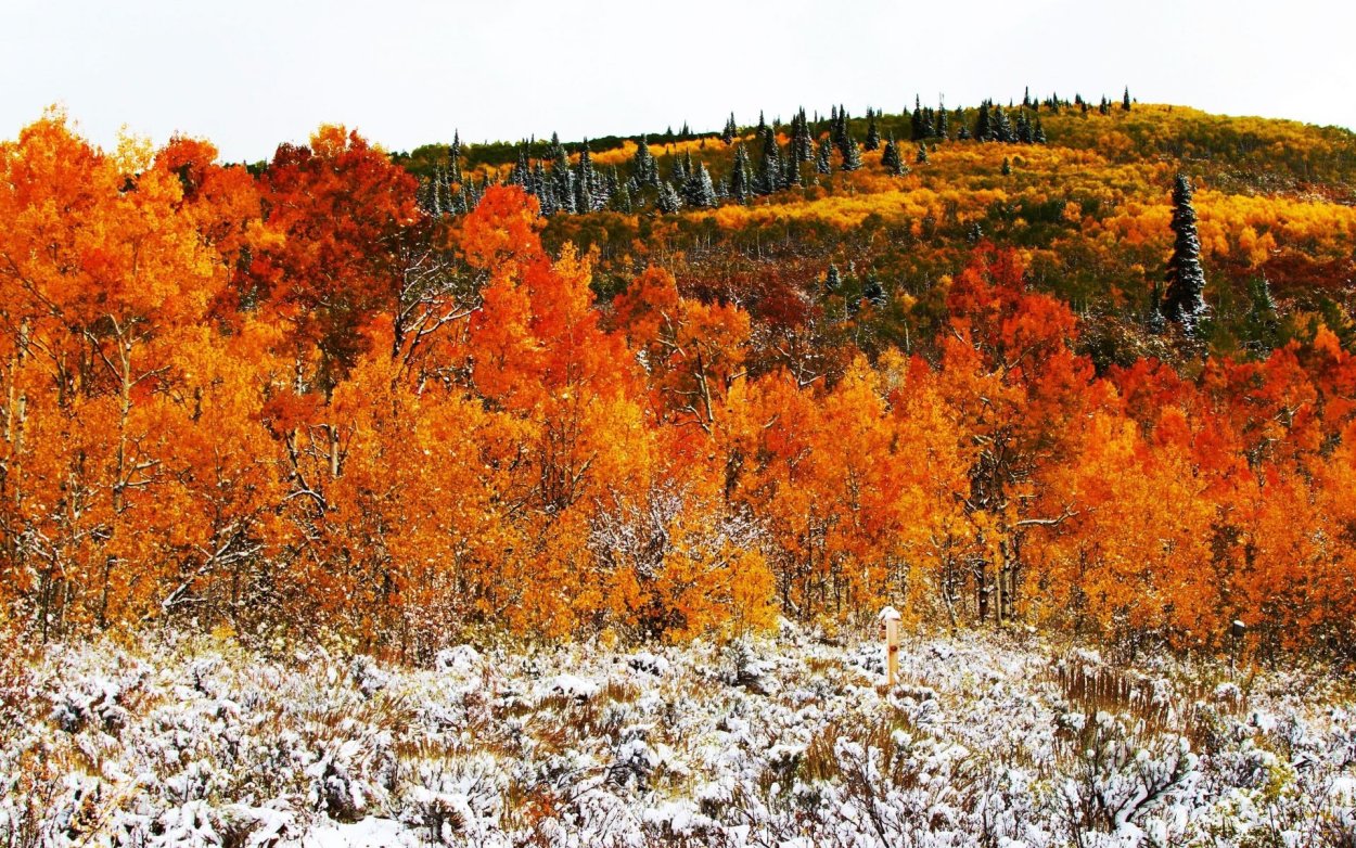 Октябрь в Сибири