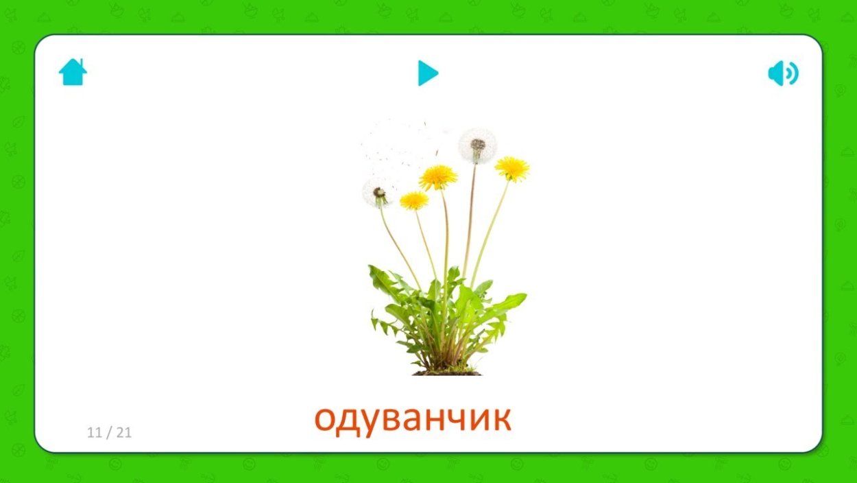 Стебель одуванчика