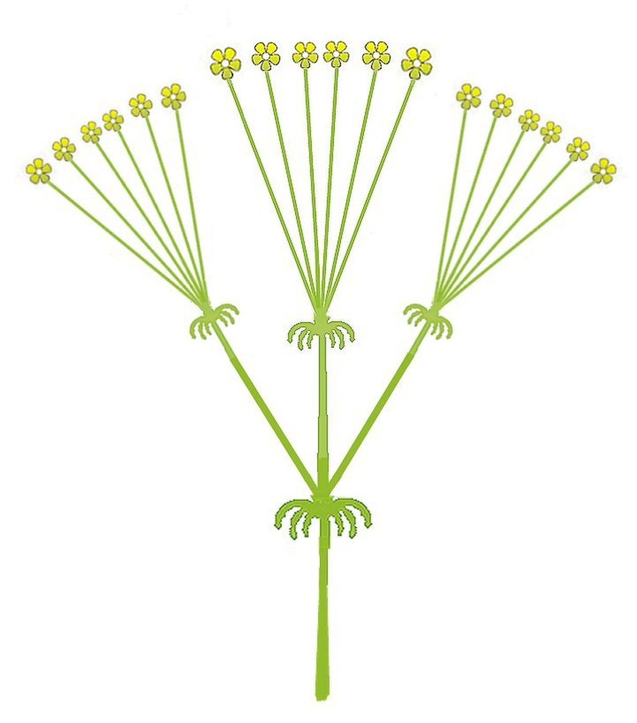 Вербейник Ландышевый семена