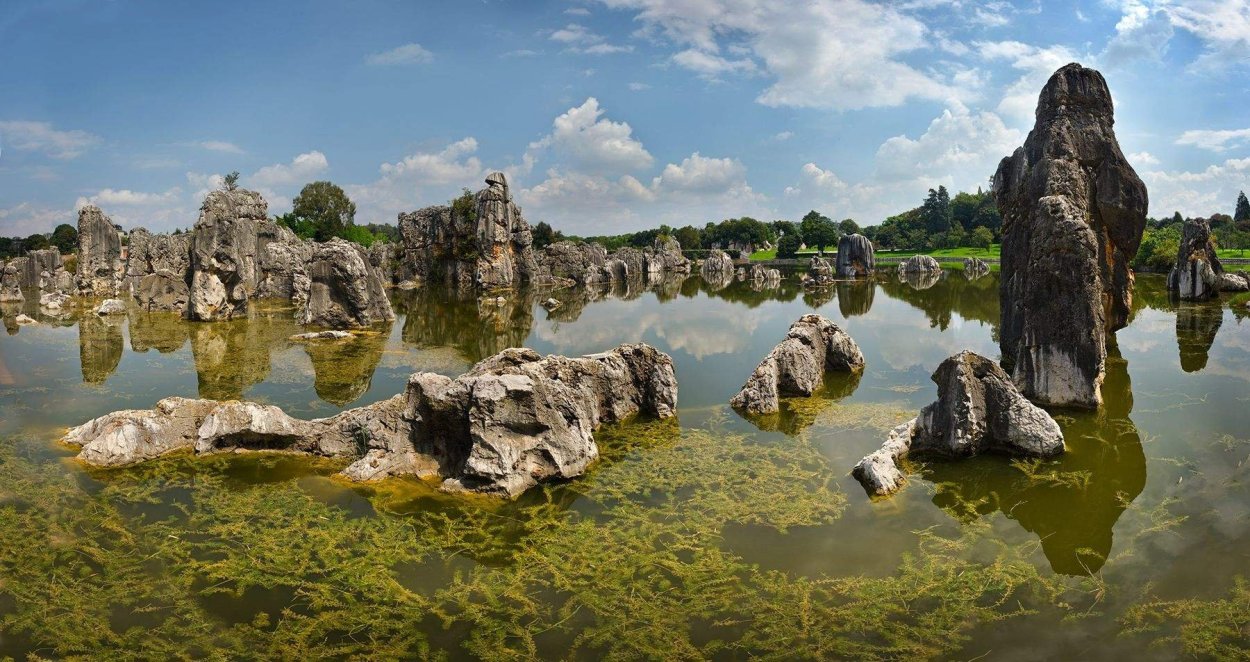 Каменный лес Юньнань
