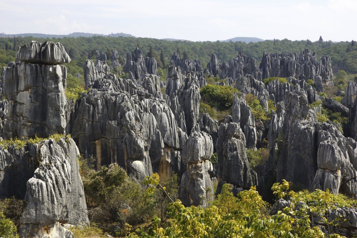 Каменный лес в море облаков