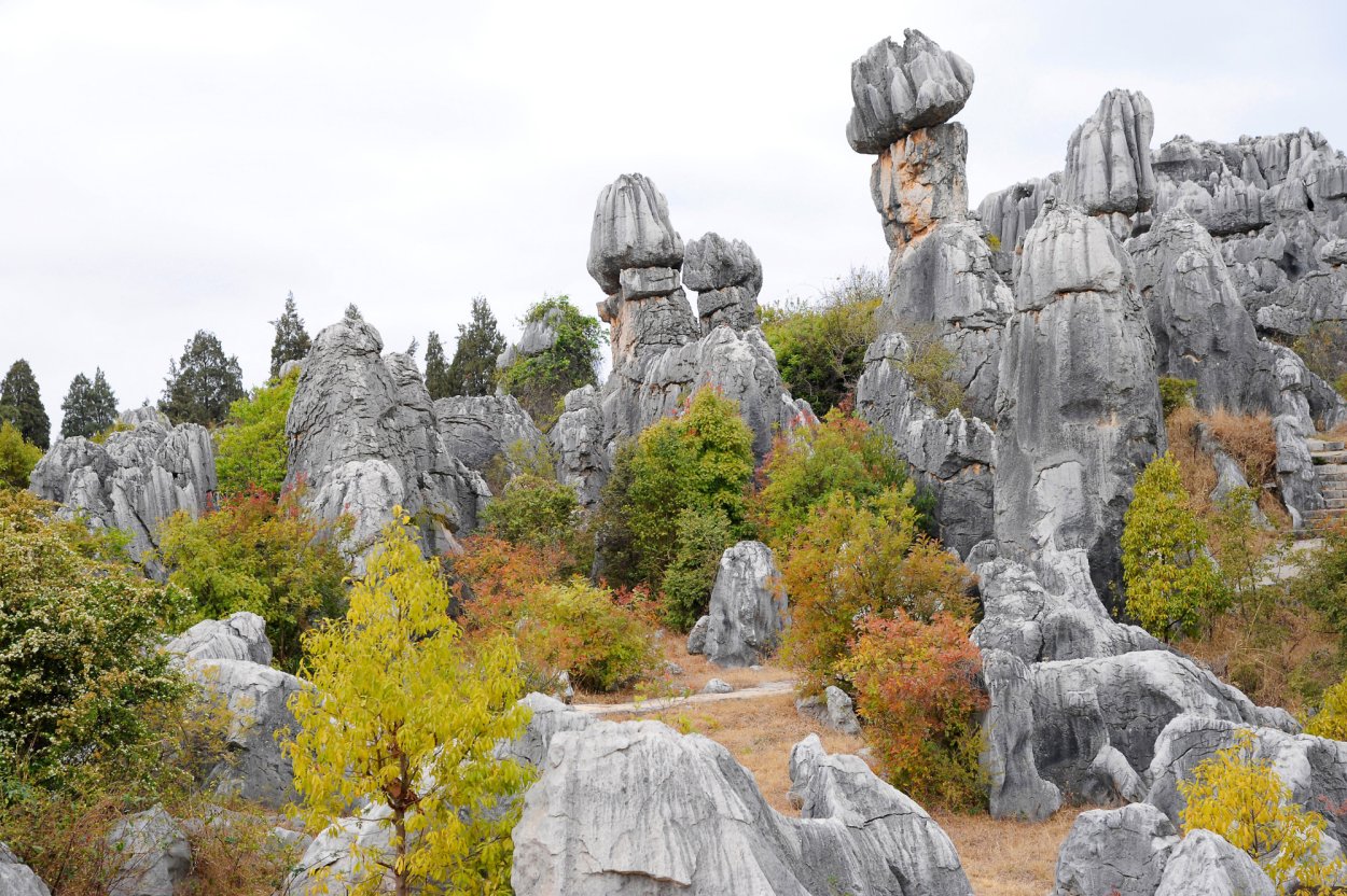 Красный каменный лес Китай