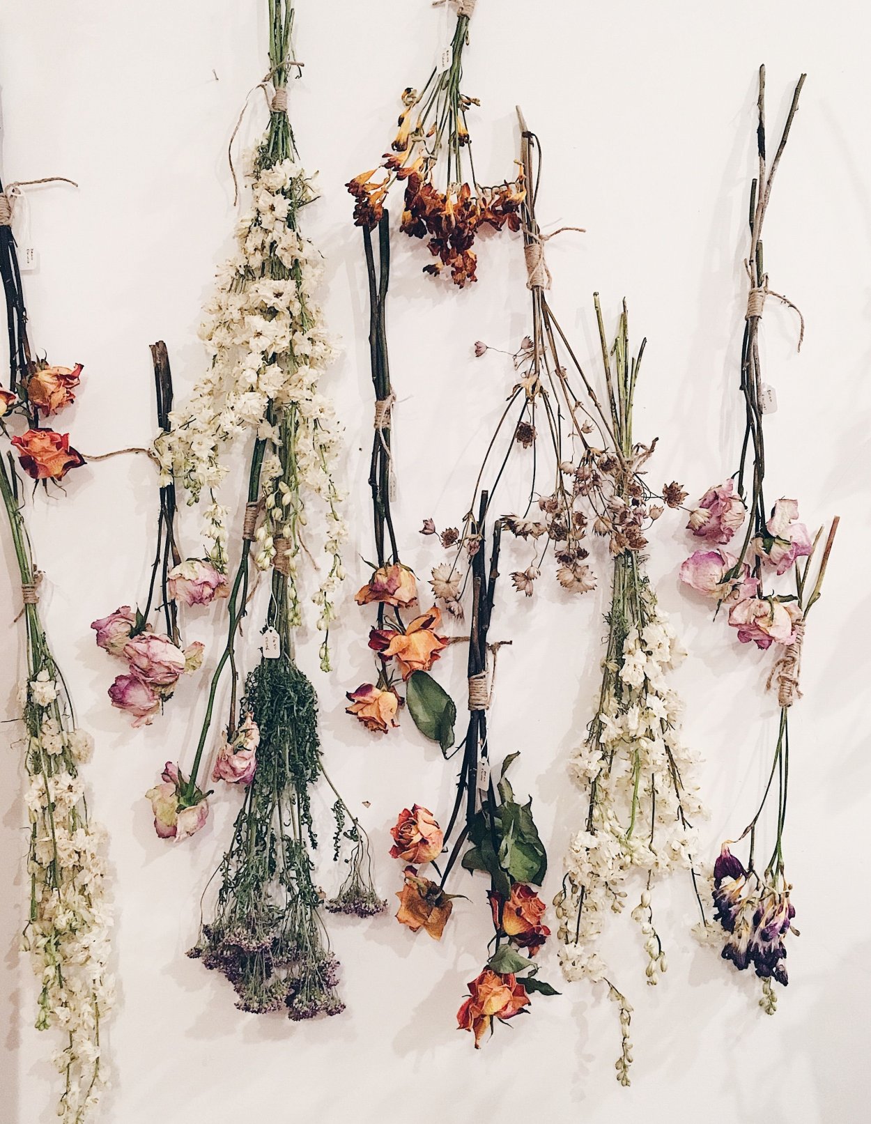 Dried Flowers сухоцветы