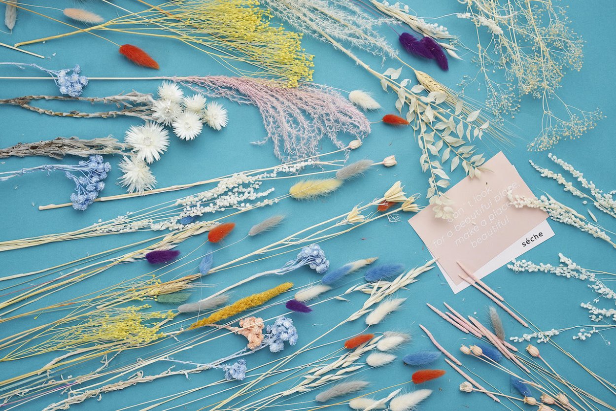 Сухоцветы Эстетика