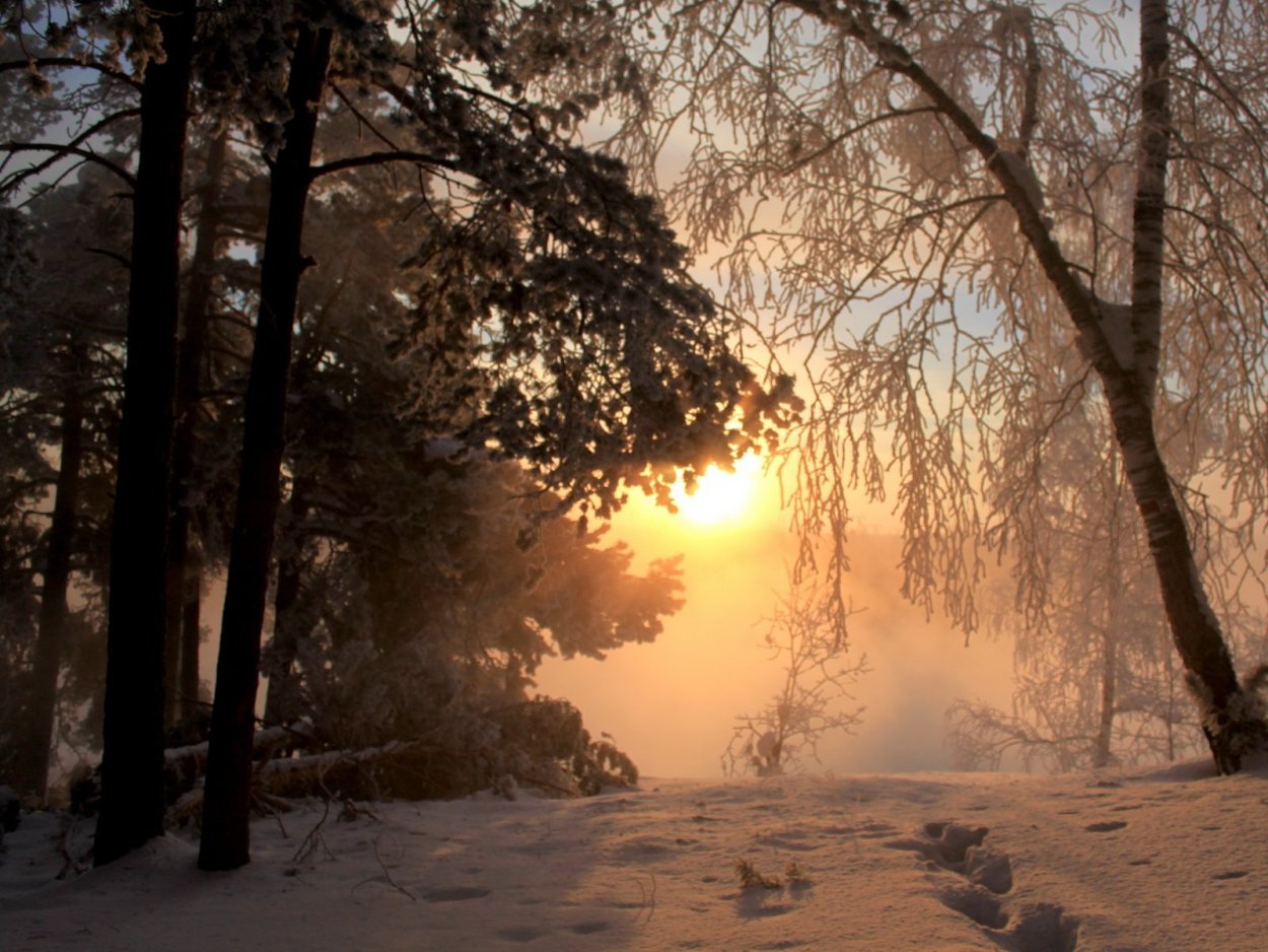 Зимний пейзаж