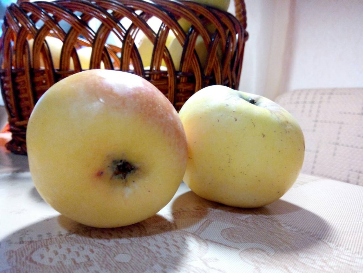 Крючки Gamakatsu Hook LS-2210b