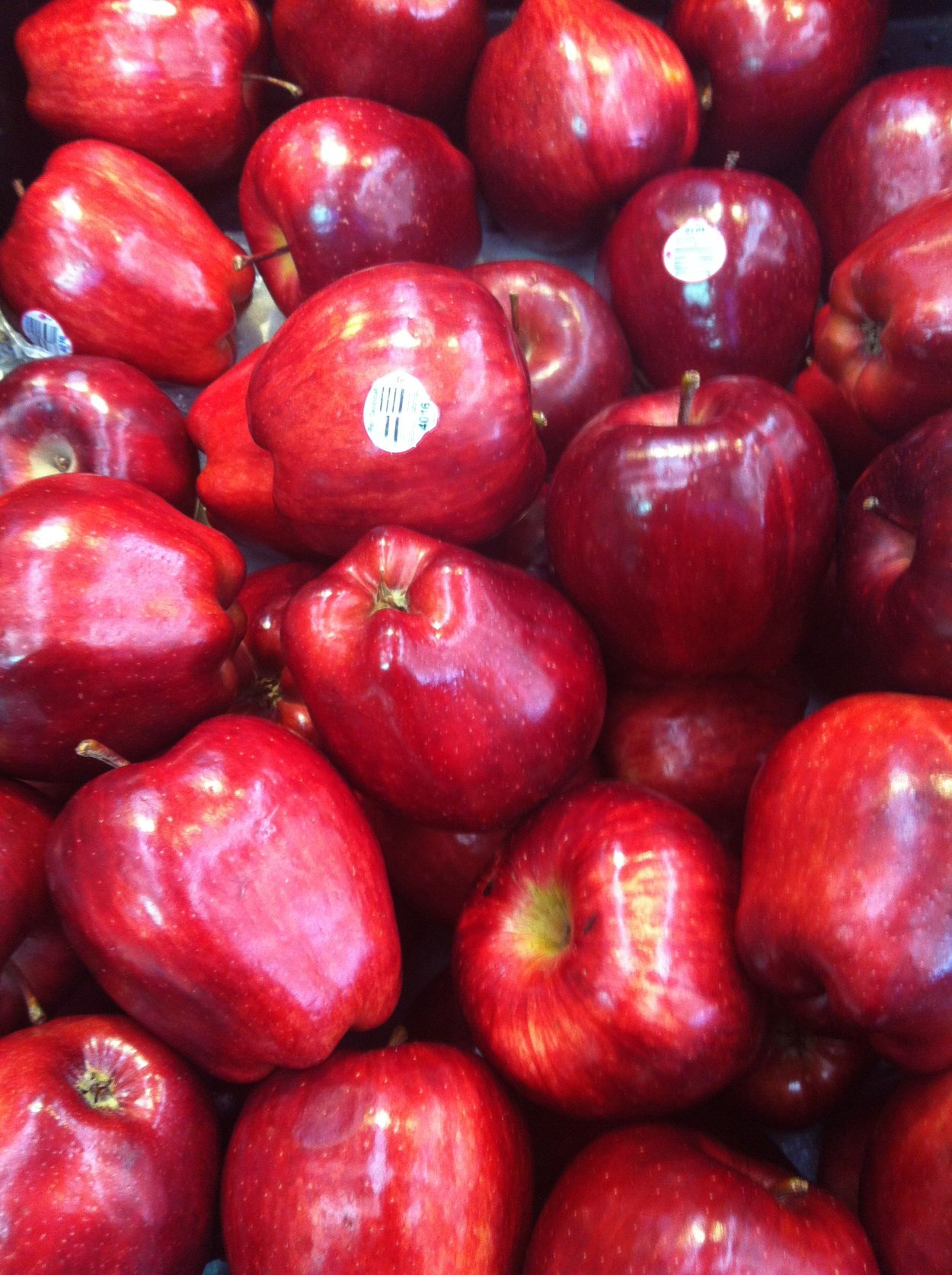 Яблоня ред Спур Делишес