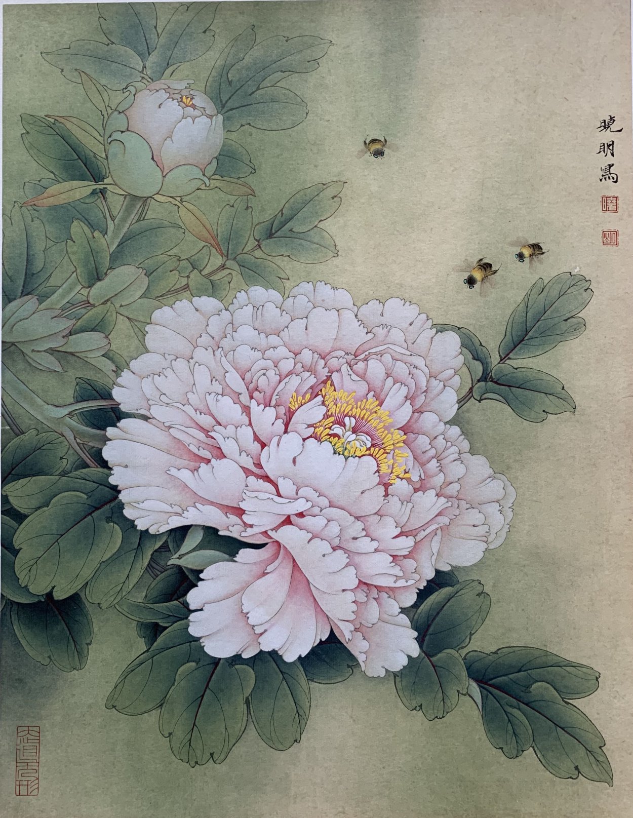 Пион символ Китая