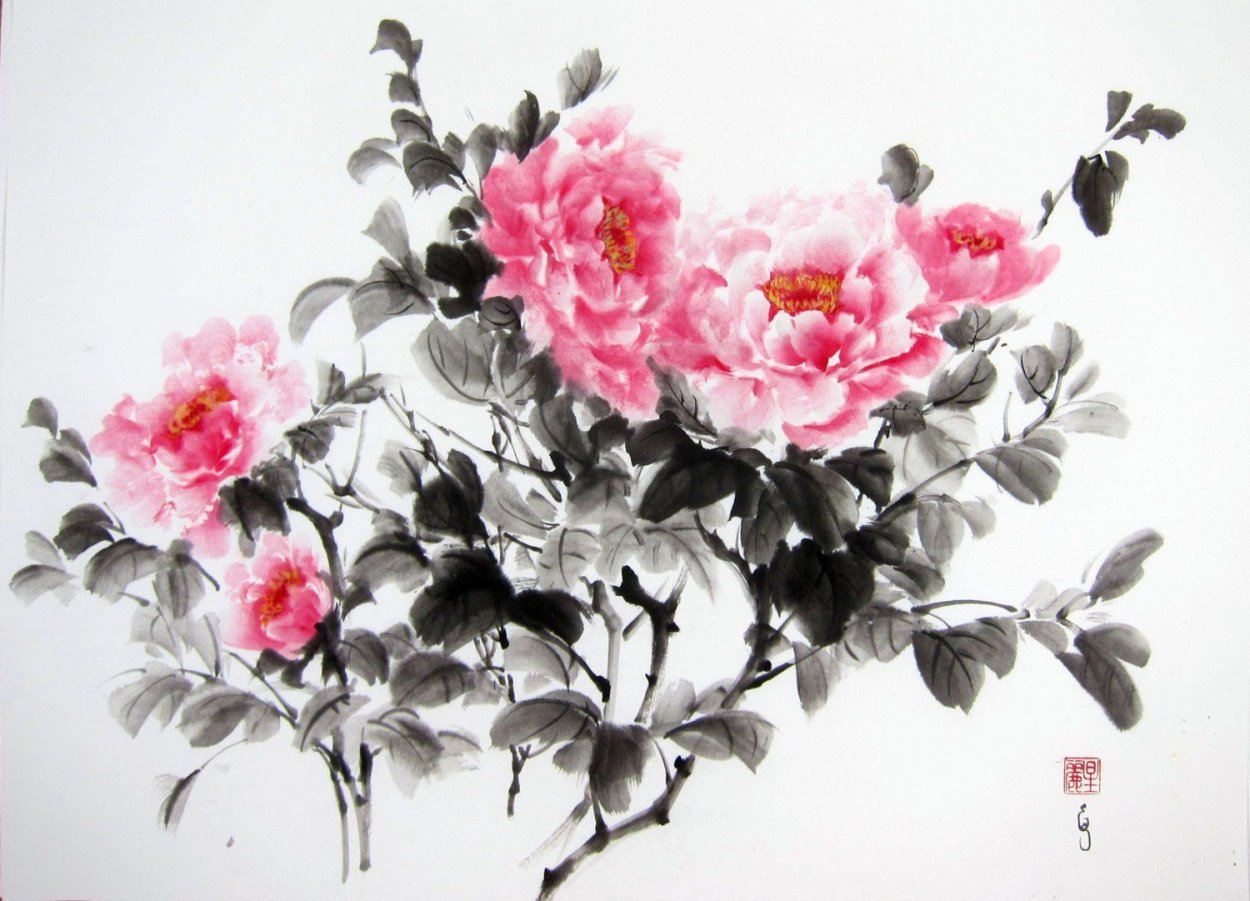 Японский пион вектор