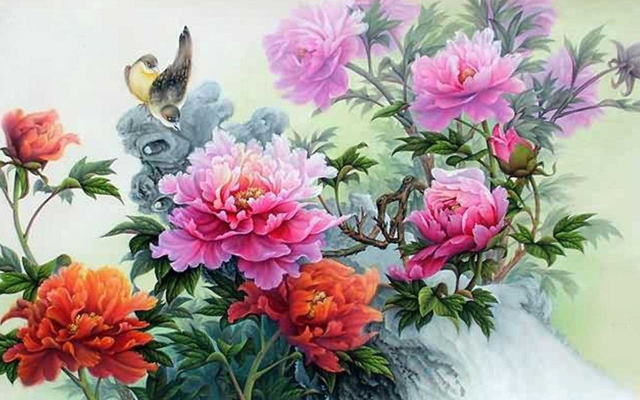 Пион китайский шелк