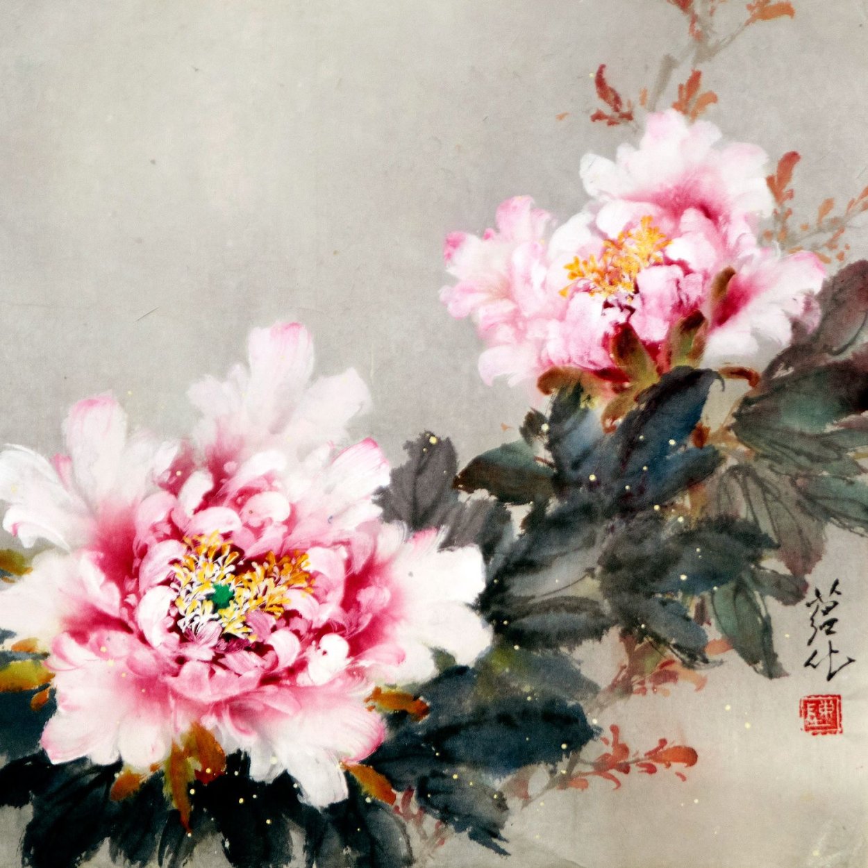 Пион Сучжоу цветок