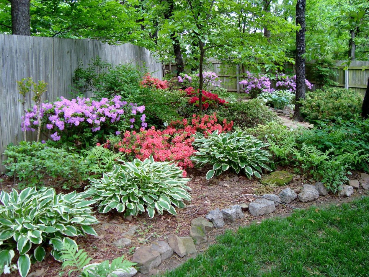 Бересклет и хосты