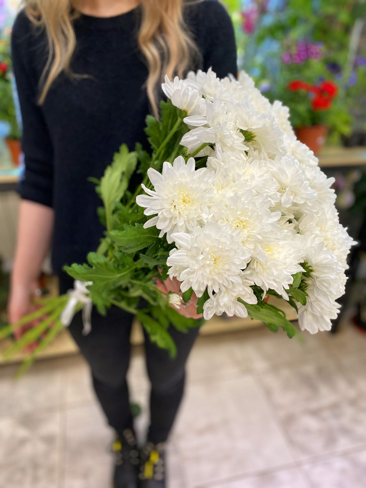 Хризантема Цыганский Барон